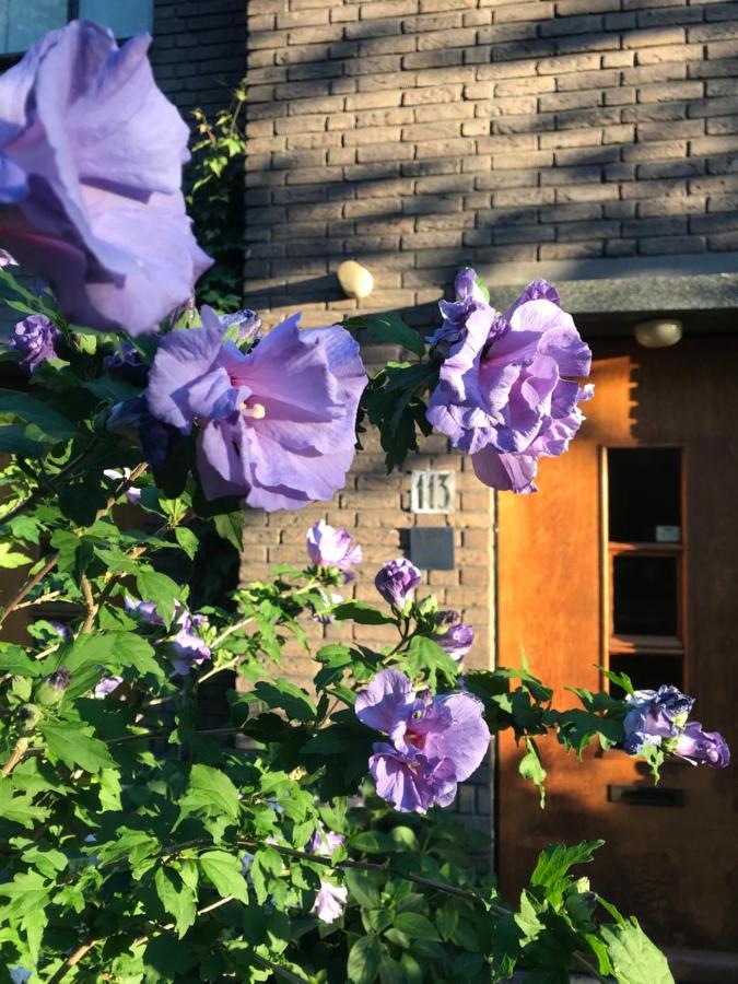 Eikenburg B&B 埃因霍温 外观 照片
